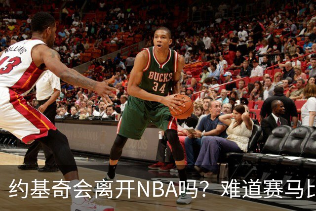 约基奇会离开NBA吗？难道赛马比篮球更诱人？